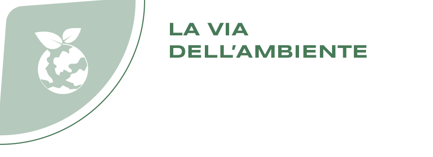 La via dell'ambiente